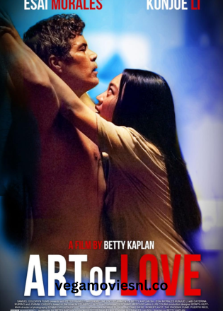 ART OF LOVE – Netflix Original (2024) WEB-DL MULTi-Audio {Hindi-English-Turkish} 480p | 720p | 1080p Full-Movie
