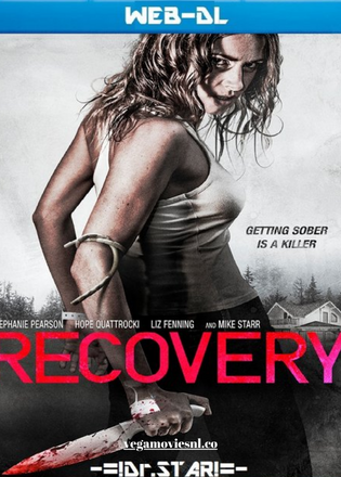 Recovery (2019) Dual Audio WeB-DL 480p | 720p | 1080p