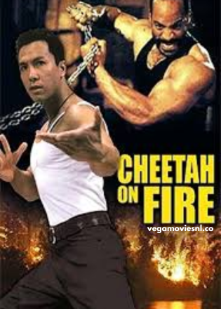 Cheetah on Fire (1992) Dual Audio 480p | 720p BluRay