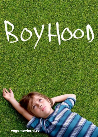 Boyhood (2014) BluRay Dual Audio 480p | 720p | 1080p