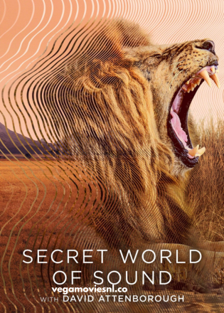 Secret World of Sound with David Attenborough – S01 Dual Audio WEB-Series