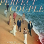 The Perfect Couple (2024) Season 1 Dual Audio NetFlix WEB Series 1080p & 720p WEB-DL