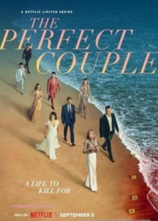 The Perfect Couple (2024) Season 1 Dual Audio NetFlix WEB Series 1080p & 720p WEB-DL