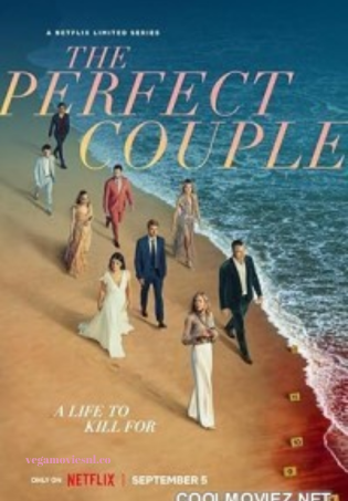 The Perfect Couple (2024) Season 1 Dual Audio NetFlix WEB Series 1080p & 720p WEB-DL